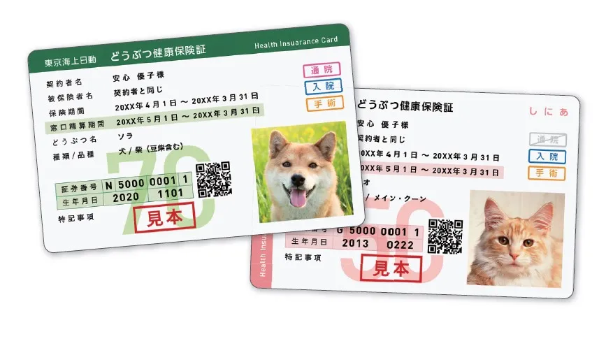 insurance_card_pet